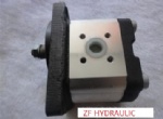 Rexroth type gear pump AZPF-11-008RSA 20MB
