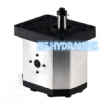 30A20X146 Group 30 Hydraulic Gear Pump